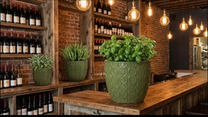 <span class=keywords><strong>Pot</strong></span> en <span class=keywords><strong>terre</strong></span> <span class=keywords><strong>cuite</strong></span> émaillée avec trou <span class=keywords><strong>de</strong></span> drainage, écologique et durable pour une utilisation en intérieur/extérieur dans le jardin à la maison - Product Image 5