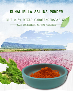 El betacaroteno Natural dunaliella salina en polvo - Product Image 4