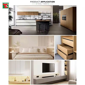 Panneau de particules 18 mm Chêne <span class=keywords><strong>Cambrian</strong></span> Blanc, Contreplaqué stratifié 3 mm, Panneau MDF, Panneau mélaminé pour meuble de cuisine, Philippines Bangladesh, Prix - Product Image 6