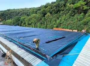 จีโอเมมเบรนสีน้ำเงิน1.2มม. สำหรับ<span class=keywords><strong>บ่อ</strong></span>น้ำสำหรับ<span class=keywords><strong>ล้าง</strong></span>แร่ทองแผ่นกรองแร่และการแยกสารปนเปื้อนจากหลุมฝังกลบ - Product Image 3