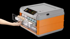 Incubateurs d'Œufs Entièrement Automatiques pour Poulets et Canards, Équipement Agricole avec Taux d'Éclosion de 98 %, Incubateurs à Œufs Blue Bird à Vendre - Product Image 3