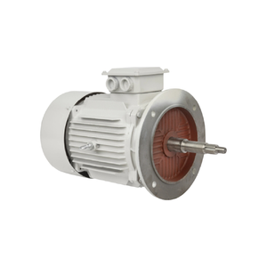 Moteur triphasé Dellette IE4 160KW 215HP 6P 3000RPM 380V 400V 460V B3 en fonte pour propulsion marine, moteur à induction auxiliaire - Product Image 1