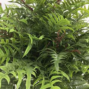 Ensemble de plantes artificielles <span class=keywords><strong>en</strong></span> plastique de style forêt de fougères pour pots de fleurs et vases, utilisation intérieure/extérieure - Product Image 3