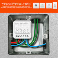 Modul Saklar Lampu Pintar 2 Gang WiFi Tuya, Otomatisasi Rumah Alexa Google, Relay Pemutus DIY