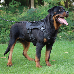 Vente en gros, réglable, Durable, pas de traction, harnais pour chien, gilet d'entraînement pour chien, harnais tactique pour chien - Product Image 5