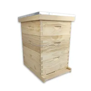 Prix de gros Ruche d'abeilles de haute qualité à 3 niveaux Ruche en bois de pin Langstroth pour équipement d'apiculture