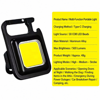 Lampe torche porte-clés COB OEM rechargeable USB-C 42g, mini lampe de poche portable en alliage d'aluminium et ABS pour camping, EDC, extérieur, logo personnalisé