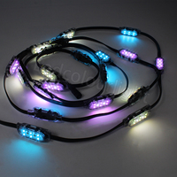 Luz LED de Píxeles DMX para Exteriores, Luz Puntual LED RGBW 3000K, Luces Puntuales LED Impermeables para Edificios