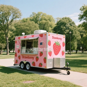 Camión de Helados Totalmente Equipado 2025 con Cocina Completa, Remolque de Panadería, Carrito de Comida Móvil para la Calle - Product Image 4