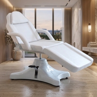 Table de massage pliable hydraulique pour salon de beauté, spa, usage domestique, matelas en éponge haute densité, confortable, cadre métallique portable