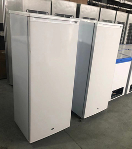 Congélateur vertical BD-198 <span class=keywords><strong>Ice</strong></span> Block Freezer 6,99 pieds cubes DC 24V - Product Image 6