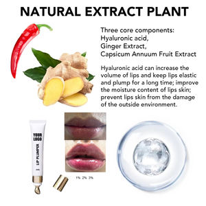 Nueva llegada al por mayor Vegan <span class=keywords><strong>Lip</strong></span> Plumper Private Label <span class=keywords><strong>Lip</strong></span> <span class=keywords><strong>Gloss</strong></span> High Quality <span class=keywords><strong>Extreme</strong></span> <span class=keywords><strong>Lip</strong></span> Plumper - Product Image 4
