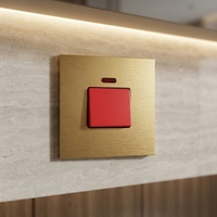 Interrupteur mural OEM personnalisé en or 45A, robuste, avec voyant néon, pour chauffe-eau, cuisinières et appareils électroménagers haute puissance