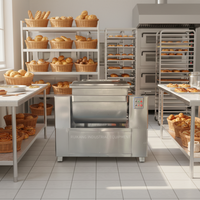 Nouvelle machine à pétrir la pâte à pain industrielle 300KG en acier inoxydable haute résistance à haute productivité à vendre