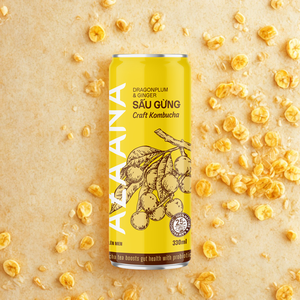 Jus de fruits aromatisé au gingembre concentré de Kombucha séché à la vietnamienne boisson acidulée parfaitement équilibrée dans une boîte - Product Image 2