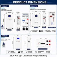 Batterie au lithium fer phosphate Hysonn haute performance 51,2 V de type mural pour stockage solaire domestique, destinée aux distributeurs et aux projets OEM
