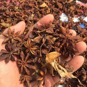 Anise estrela do vietnã/aniseed para venda