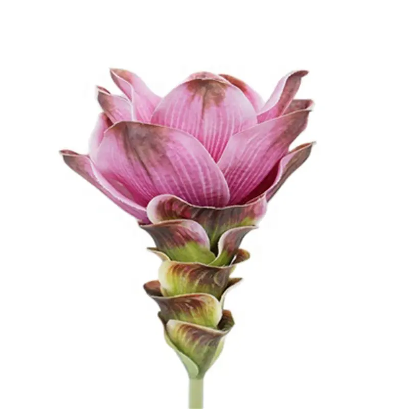 חדש עיצוב עמיד סימולציה מגע מרגיש צמח פלסטיק עונה פרח 63cm זרי פרחים מלאכותיים פרח עבור עיצוב הבית