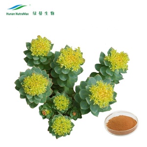 Extrait naturel de <span class=keywords><strong>Rhodiola</strong></span> <span class=keywords><strong>Rosea</strong></span> 3% 5% Rosavines, Extrait de <span class=keywords><strong>Rhodiola</strong></span> <span class=keywords><strong>Rosea</strong></span> - Product Image 2