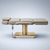 Table de soin électrique à 3 moteurs avec colonne en titane, hauteur réglable, pour salon, spa, tatouage, microblading, traitement dentaire