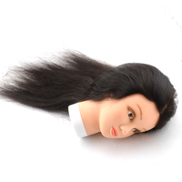 Tête d'entraînement/tête de mannequin tête d'entraînement nouvelle tête d'entraînement de coiffure/tête de mannequin