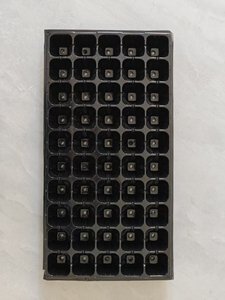 Plateau de semis en plastique robuste à 72 alvéoles, réutilisable, <span class=keywords><strong>pour</strong></span> la culture de <span class=keywords><strong>légumes</strong></span> et de fleurs en serre - Product Image 5