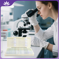 For education Pathogenic Microbiology Bacteria glass individual Bacillus subtilis prepared microscope slides