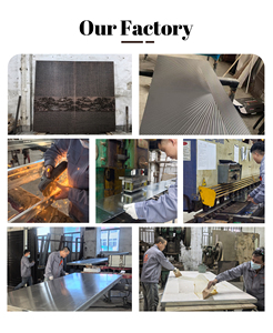 <span class=keywords><strong>Puerta</strong></span> Pivotante de Entrada de Madera Sólida de Roble y Caoba con Acabado Premium, con 2 Paneles Laterales de Madera - Product Image 6