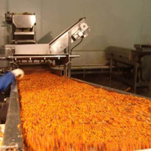 Ligne <span class=keywords><strong>de</strong></span> production <span class=keywords><strong>de</strong></span> longanes/lychees, champignons en conserve/pois verts/graines <span class=keywords><strong>de</strong></span> maïs/concombre/cornichons/poivre/haricots rouges, stérilisateur <span class=keywords><strong>de</strong></span> bouteilles, épluchage et dénoyautage - Product Image 5