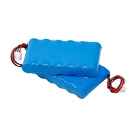Baterai Lithium-Ion Isi Ulang Harga Terjangkau 18650 Sel Silinder 6S1P 19.2Volt Pack 1800Ah 2000mAh untuk Lampu Tenaga Listrik