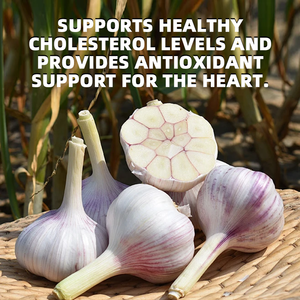 OEM Halal Knoflookolie Zachte <span class=keywords><strong>Capsules</strong></span> 380mg Groothandel Biologisch Gezondheidssupplement Knoflookolie Softgel <span class=keywords><strong>Capsules</strong></span> voor Haar - Product Image 4