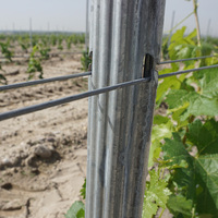 Piquet en acier galvanisé à chaud pour vignes, diamètre 48 mm, épaisseur de paroi 2,5 mm, haute résistance à la traction, pour vignobles et ranchs