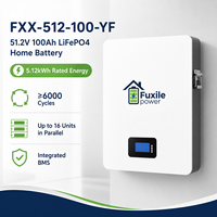 Batterie LiFePO4 murale 51,2 V 100 Ah 5,12 kWh, système de stockage d'énergie solaire 6000 cycles, pack de stockage d'énergie solaire domestique 5 kWh 16S1P