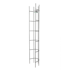 Support en maille écologique pour plantes grimpantes, <span class=keywords><strong>cage</strong></span> de soutien pour tomates - Product Image 1