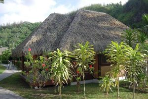 Fourniture <span class=keywords><strong>de</strong></span> chaume <span class=keywords><strong>de</strong></span> paille simulée étanche au feu européen chaume synthétique longue durée <span class=keywords><strong>de</strong></span> vie pour <span class=keywords><strong>cabane</strong></span> <span class=keywords><strong>de</strong></span> <span class=keywords><strong>Bali</strong></span> - Product Image 2