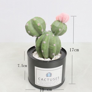 Plante décorative artificielle de fleur artificielle succulente de petit <span class=keywords><strong>cactus</strong></span> avec le VP-HL007 de pot - Product Image 5