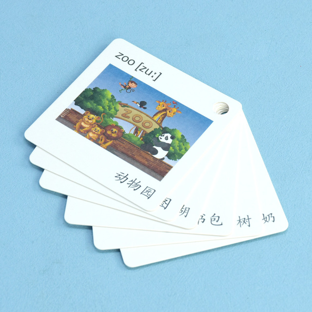Custom Printed Durable Educational Flash Cards-Paper & Plastic Options Matte Laminated Finish Custom Sizes