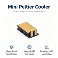 TEM1-015014 Mini module thermoélectrique Peltier pour refroidissement d'eau et climatisation