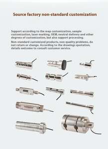 ASP56B 50-1000KN Kunden spezifischer Kraft sensor Wägezellen kran Anwendung 10T Doppelend-Scher achs stift Lasts tift Gabel kopf für Hebezeug - Product Image 4