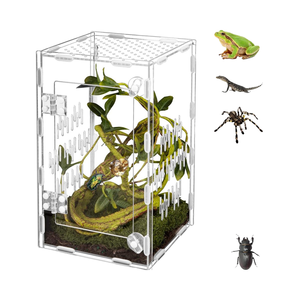 Recinto de reptiles de acrílico transparente Terrario Mini <span class=keywords><strong>jaula</strong></span> de alimentación de reptiles <span class=keywords><strong>para</strong></span> camaleón Rana lagarto Gecko - Product Image 1