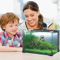Aquarium en verre, équipement pour rehausser les poissons, à vendre