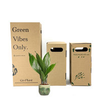 Boîtes d'emballage pour plantes, plantes vivantes en pot, emballage en carton ondulé, boîte en papier pour plantes, pot en origami