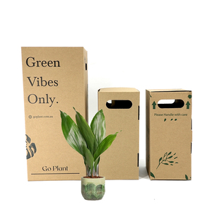 Cajas de Embalaje para Envío de Plantas, Cajas de Cartón Corrugado para Plantas Naturales en Maceta, <span class=keywords><strong>Caja</strong></span> de Papel para Plantas, <span class=keywords><strong>Caja</strong></span> de Origami para Macetas - Product Image 2