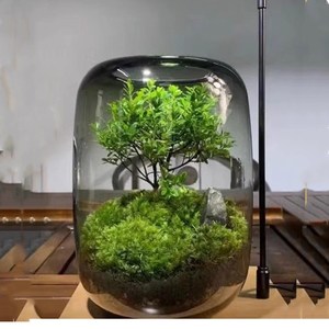 Décoration moderne Vases à fleurs en verre gris clair Vase en verre transparent rond à gros ventre Pantalon hydroponique Bocal à poissons pour aquarium - Product Image 3