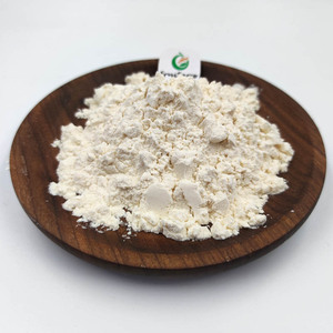 Proteine del Siero di Latte in Polvere Pura Concentrata Halal Gold Standard all'Ingrosso - Product Image 4