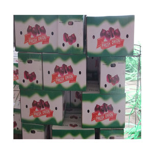 2025 Tươi Bán Buôn Trung Quốc Màu Đỏ/Vàng Hành Tây Giá Rẻ Xuất Khẩu Toàn Cầu Hữu Cơ Tươi Hành Tây Nhà Cung Cấp - Product Image 5