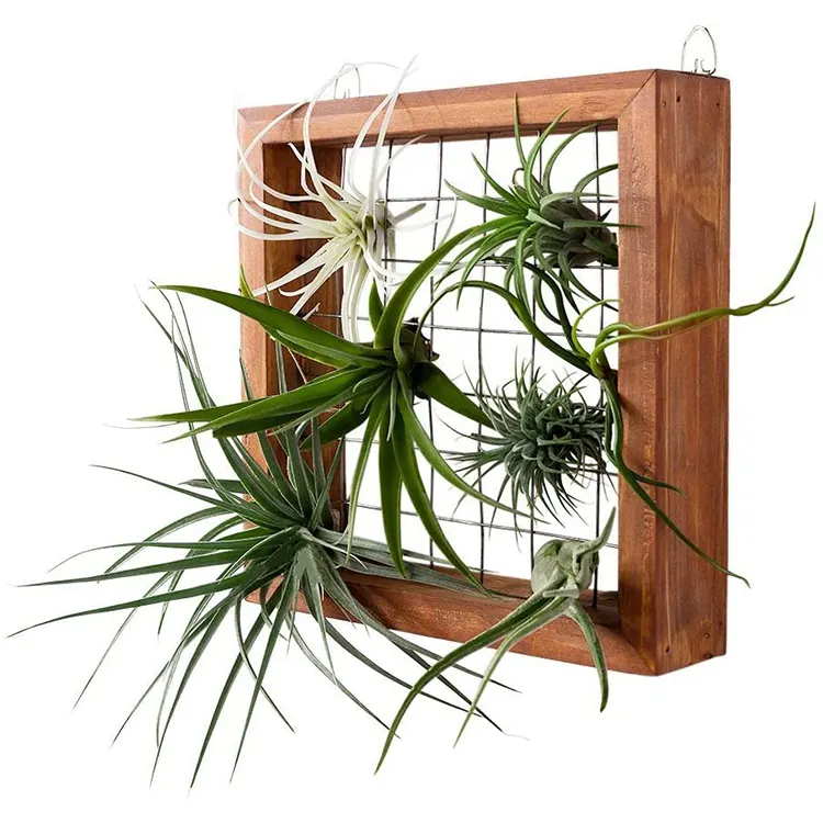 DIY Airplant 걸이 나무 프레임 벽 홀더 선반 화분 매달려 후크