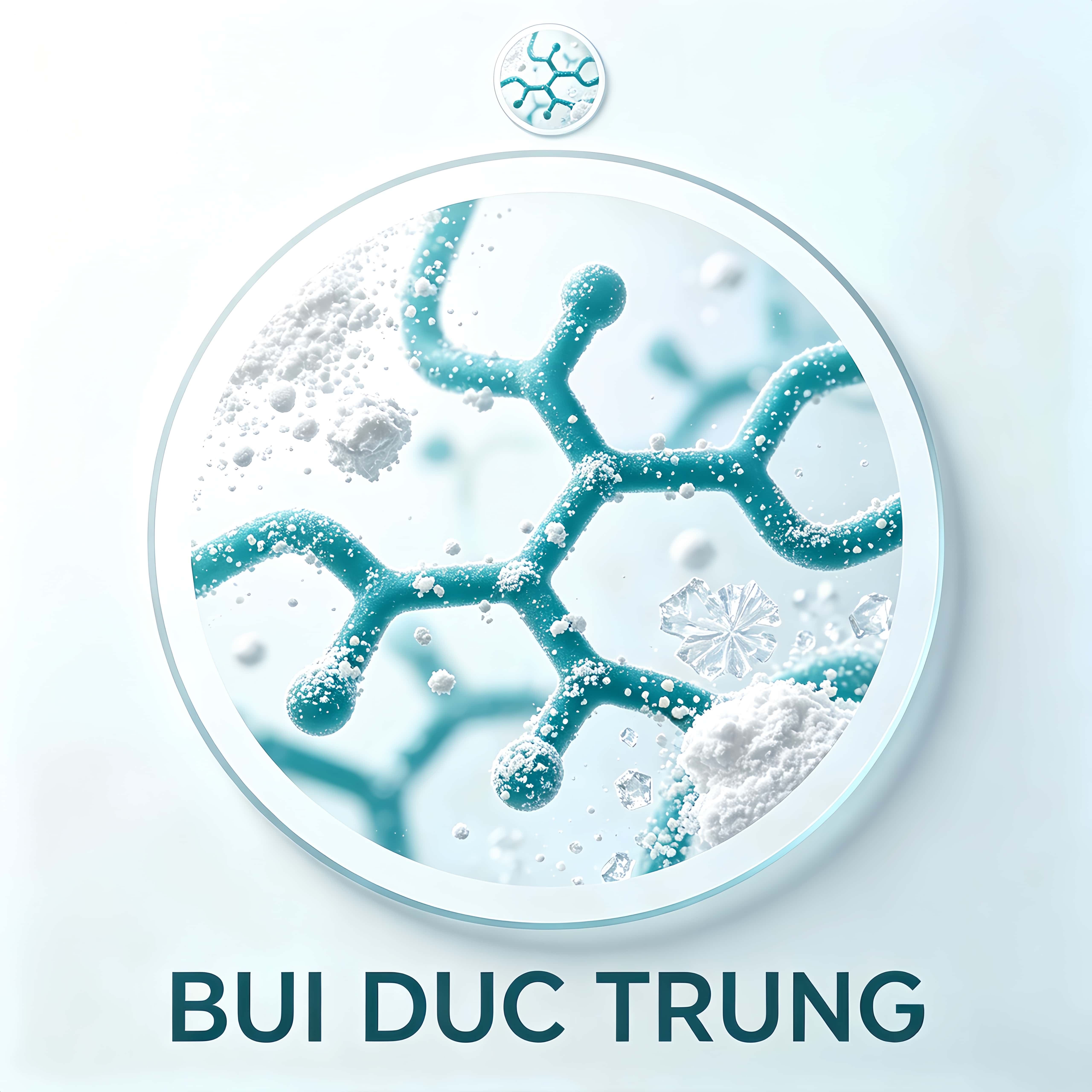 HO KINH DOANH BUI DUC TRUNG logo