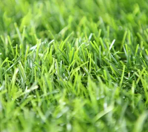 Super lembut sentuhan baik pabrik Cina penjualan laris ramah lingkungan kelas atas karpet rumput lanskap