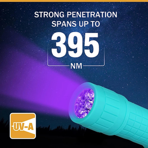 Mini lampe torche 9 LED UV/lumière blanche froide 395 nm, corps en ABS, détecteur d'urine d'animaux, anti-punaises <span class=keywords><strong>de</strong></span> <span class=keywords><strong>lit</strong></span>, détection <span class=keywords><strong>de</strong></span> vernis à ongles, lampe <span class=keywords><strong>de</strong></span> camping - Product Image 3